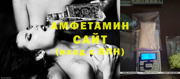 гашик Алексин