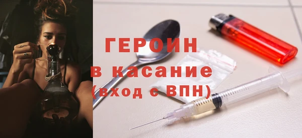 гашик Алексин