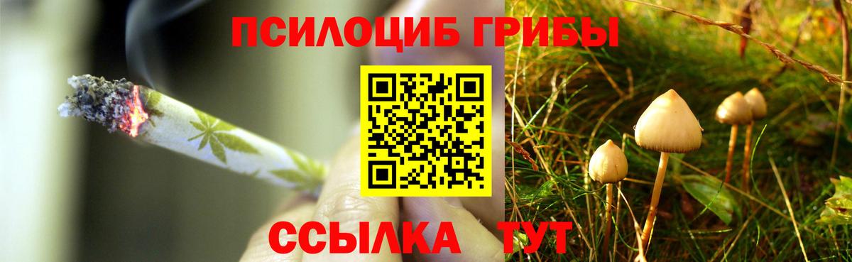Псилоцибиновые грибы GOLDEN TEACHER  Вход с VPN  Элиста 